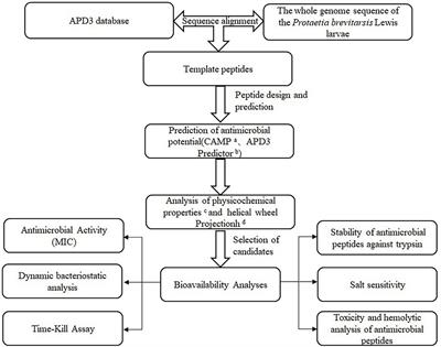 Prediction and bioactivity of small-molecule antimicrobial peptides from Protaetia brevitarsis Lewis larvae